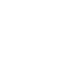 Chords & Strumming