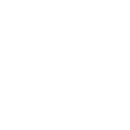 Expert-Led Workshops