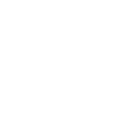 Guitar Basics