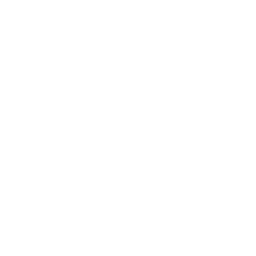 Performance Opportunities