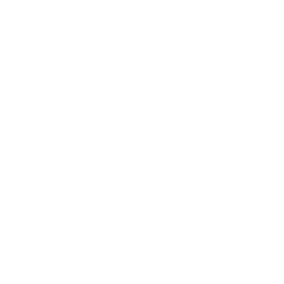 Personalized Coaching