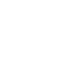 Rhythm & Musical Timing