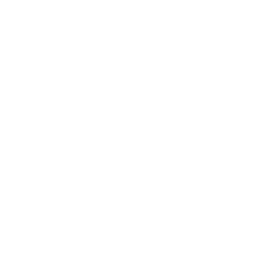 Song Learning & Performance