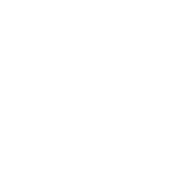 Ragas & Melodic Understanding