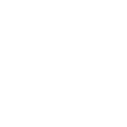 Pitch & Vocal Accuracy