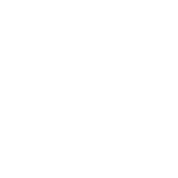Professional Event Support