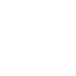 Picture-Perfect Moments