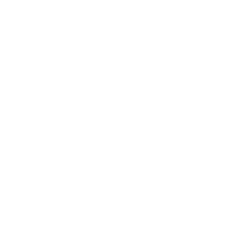 Voice & Dialogue Delivery