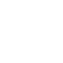 Presentation Skills