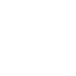Yoga Postures (Asanas)