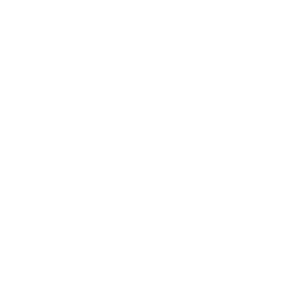 Performance Experience