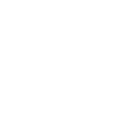 Belt Progression & Performance
