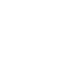 Karate Fundamentals