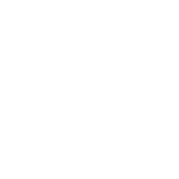 Decision-Making Guidance