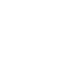 Meditation & Mindfulness