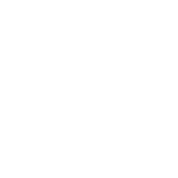 Song Performance
