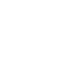 Reading Music Notation
