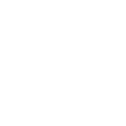 Theme-Based Decorations
