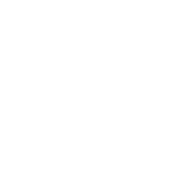 Personality Analysis