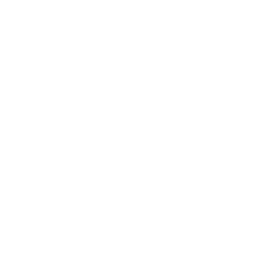 Punches & Kicks