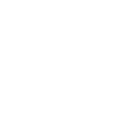 Voice Modulation