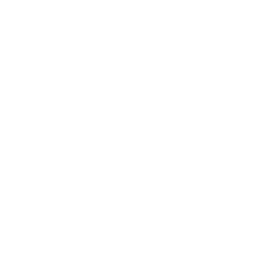 Dance Based Fitness