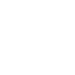Dance Fundamentals